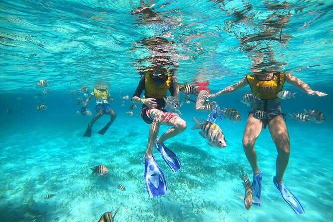 Snorkel Experience In Cancun! Reef and Sunken Ship - The Sum Up: Is This Tour Worth It?