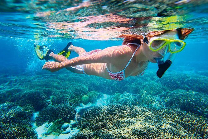 Snorkel Experience In Cancun! Reef and Sunken Ship - Frequently Asked Questions (FAQs)