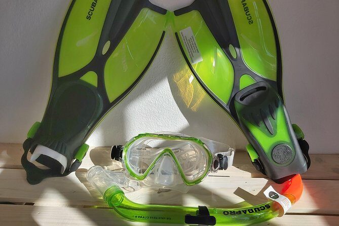 Snorkel Experience in Lanzarote - Who Will Love This Experience?