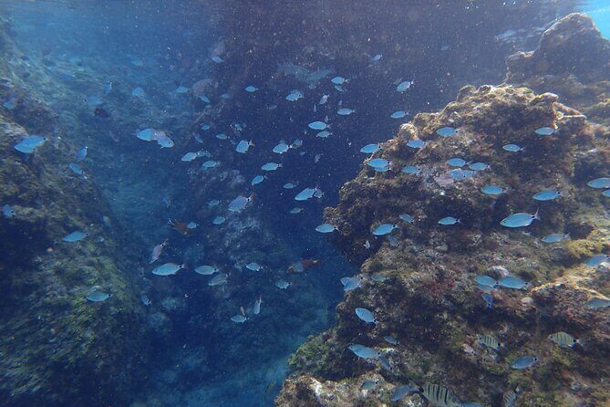 Snorkel Experience in Lanzarote - FAQs