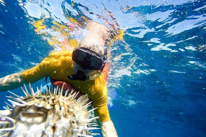 Snorkel & Explore Pelican Rock by Glass Boat + Photos - Whats Included and What’s Not