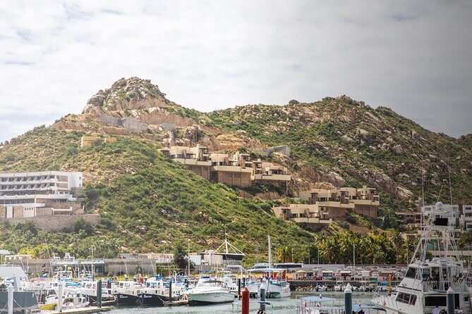 Snorkel & Explore Pelican Rock by Glass Boat + Photos - Final Verdict: Who Will Love This Tour?