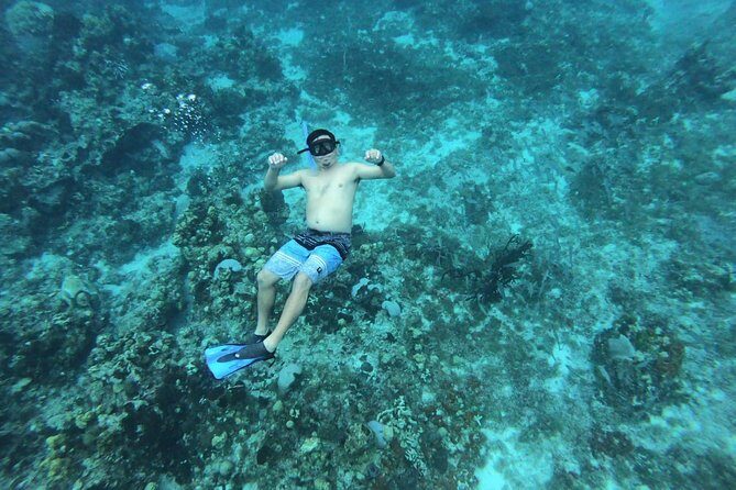 Snorkel In Cozumel! Boat Tour & Snorkel at 3 different Reefs - Authentic Experiences and Guest Insights