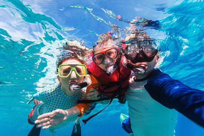 Snorkel in El Cielo Cozumel Reef with Lunch, Beach and Transport - Who Is This Tour Best For?