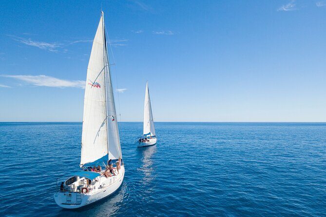 Snorkel in Luxury Sailing Boat + Food and Premium drink! - Food and Drinks: Elevating the Experience