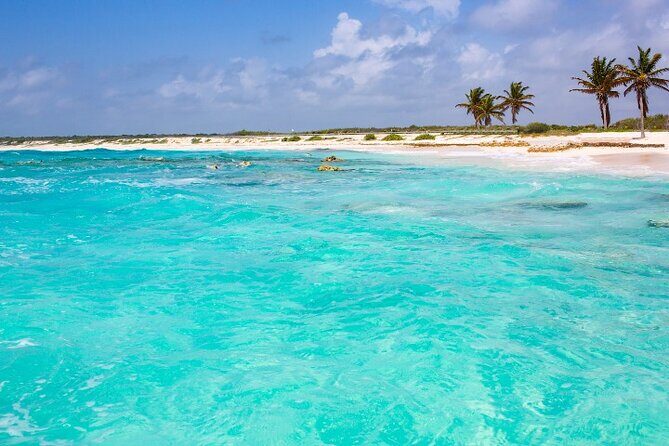 Snorkel in Paradise Cozumel El Cielito Palancar Reef Colombia - Key Points