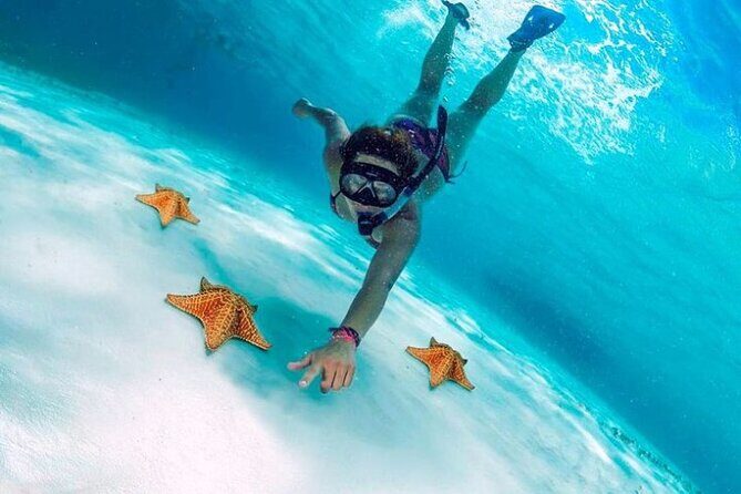 Snorkel in Paradise Cozumel El Cielito Palancar Reef Colombia - The Experience – What You Can Expect