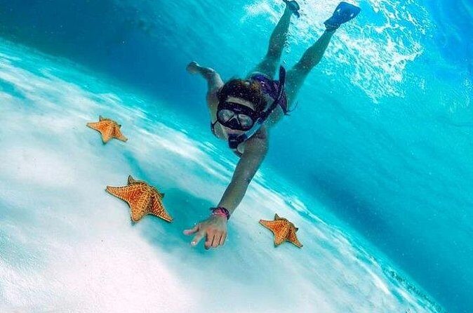 Snorkel in Paradise Cozumel El Cielito Palancar Reef Colombia - Authentic Experiences and Practical Tips