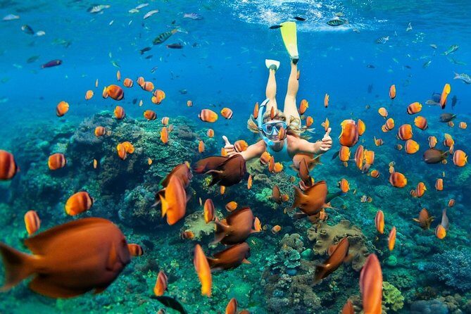 Snorkel in the second largest reef in the world Colorful tour in Puerto Morelos - Introduction: A Snorkeling Trip You’ll Remember