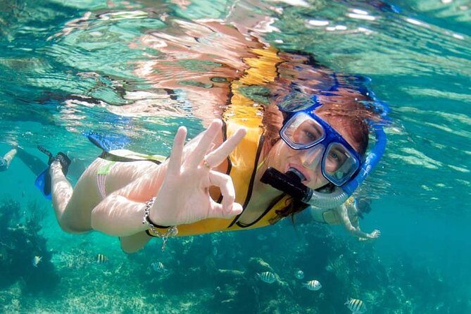 Snorkel in the turquoise Caribbean Sea in Puerto Morelos. Transport included - Insights from Reviews