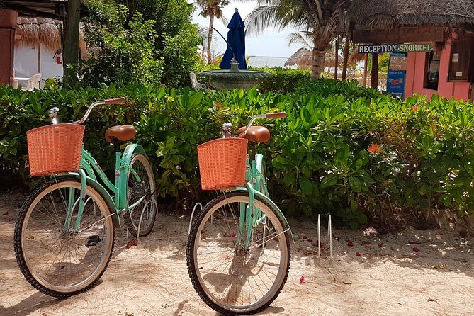 Snorkel in the turquoise Caribbean Sea in Puerto Morelos. Transport included - Who Should Consider This Tour?