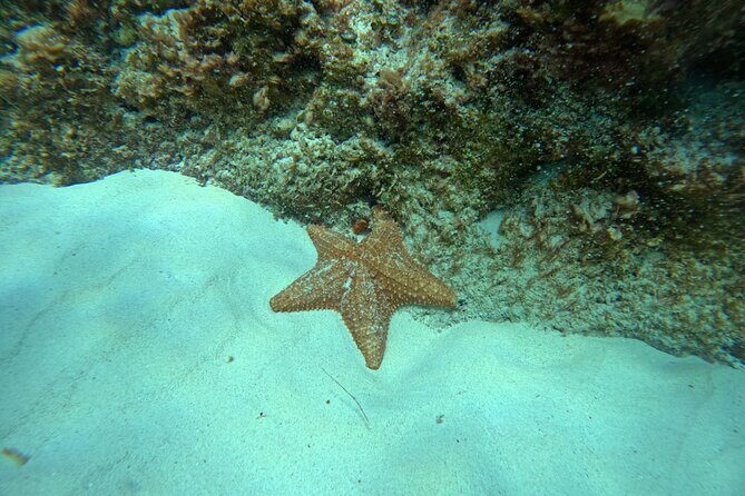 Snorkel Paradise Cancun 5 in 1 For Non Swimmers - Final Thoughts: Is It Worth It?