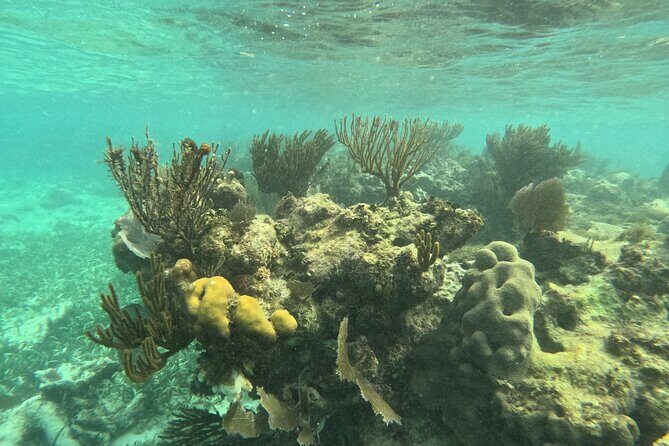 Snorkel Paradise Cancun 5 in 1 For Non Swimmers - FAQ