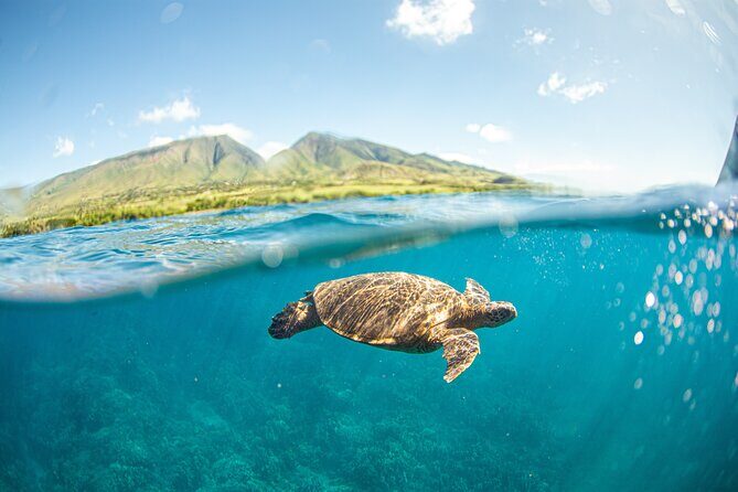 Snorkel Sail Adventure off Ka'anapali Beach, Maui - Key Points
