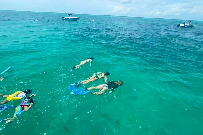 Snorkel, Sandbar & Sunset Cruise Trifecta in Marathon - Who Should Consider This Tour?