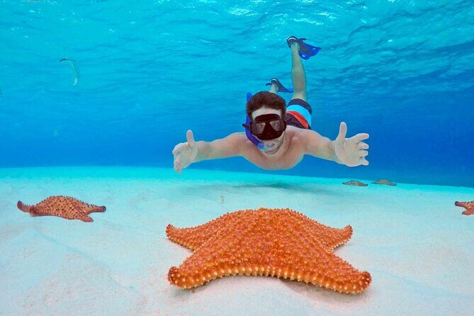 Snorkel Tour in Cozumel - Discovering Cozumel’s Underwater World