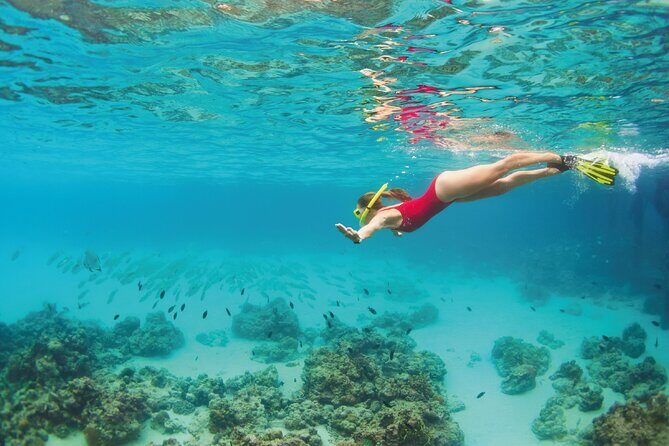 Snorkel Tour in Cozumel - Is it Worth the Price?