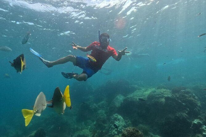Snorkel Tour in private Trimarán in Los Cabos - An In-Depth Look at the Snorkel Tour Experience
