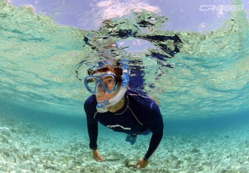 Snorkel tour Why not? - Frequently Asked Questions (FAQs)