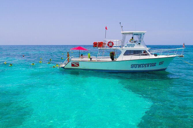 Snorkel Tours to Shallow Coral Reefs at Pennekamp Underwater Park - Who Will Love This Tour?
