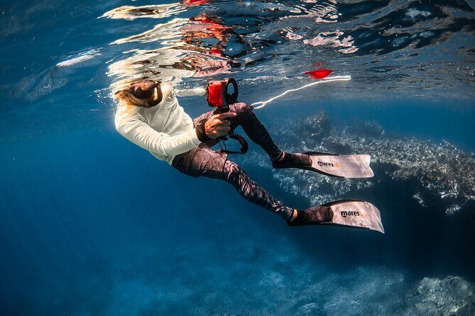 Snorkel with Turtles and Free Underwater Photos Lahaina - Frequently Asked Questions