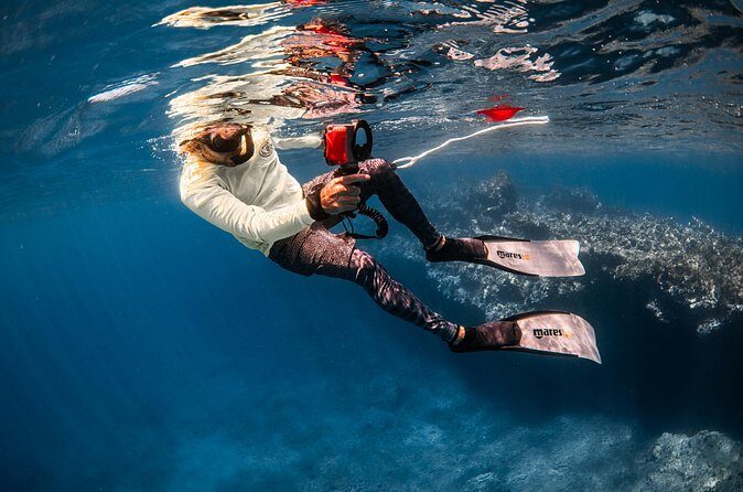 Snorkel with Turtles and Free Underwater Photos Lahaina - Final Thoughts