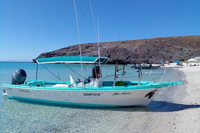 Snorkel with whale sharks includes equipment & transportation - Who Would Enjoy This Tour?