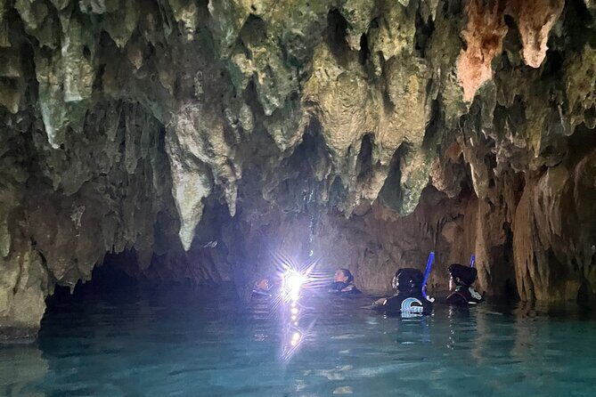 Snorkeling Activity in a Cenote Expedition - The Experience: What Travelers Are Saying