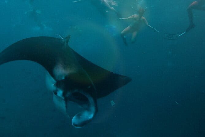 Snorkeling Activity Trip at Nusa Penida - An Honest Look at the Snorkeling Trip at Nusa Penida