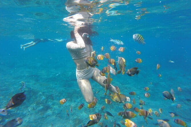 Snorkeling Activity Trip at Nusa Penida - Who Should Consider This Tour?