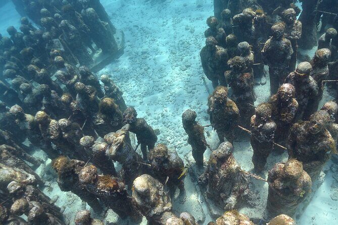 Snorkeling Adventure at the Cancun Underwater Museum - Key Points