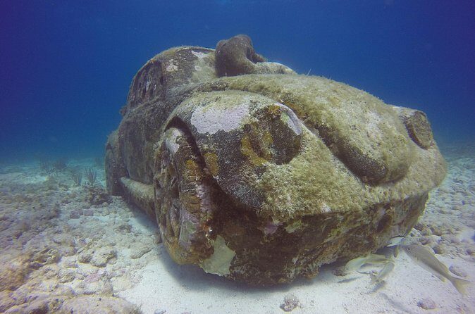 Snorkeling Adventure at the Cancun Underwater Museum - The Value Proposition