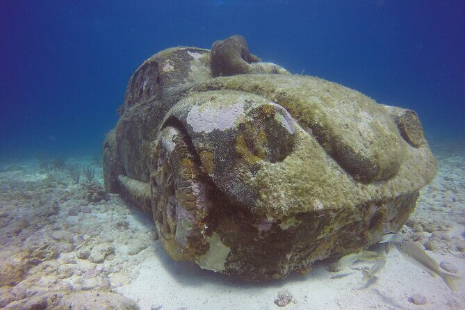 Snorkeling Adventure at the Cancun Underwater Museum - Who Should Consider This Tour?