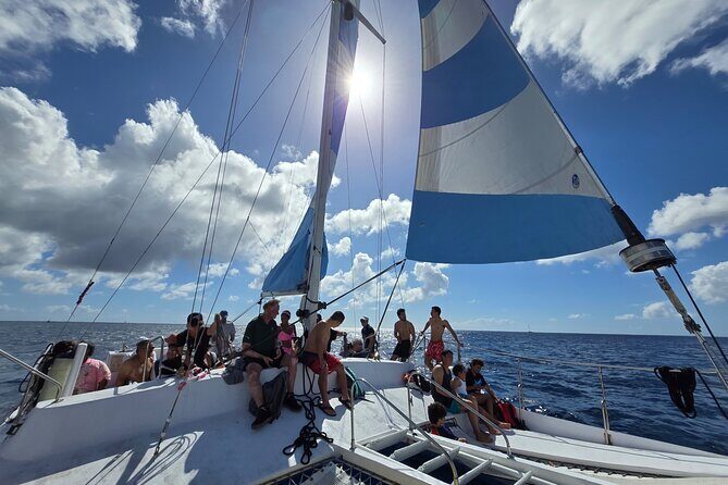 Snorkeling Adventure at Turtle Canyon - Who Will Love This Tour?