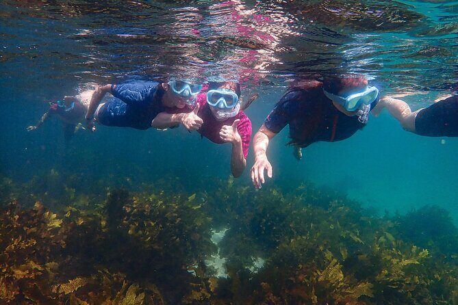 Snorkeling Adventure for Kids with Private Guide In Sydney - Final Thoughts