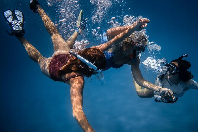 Snorkeling Adventure in Caloura, S. Miguel - Key Points