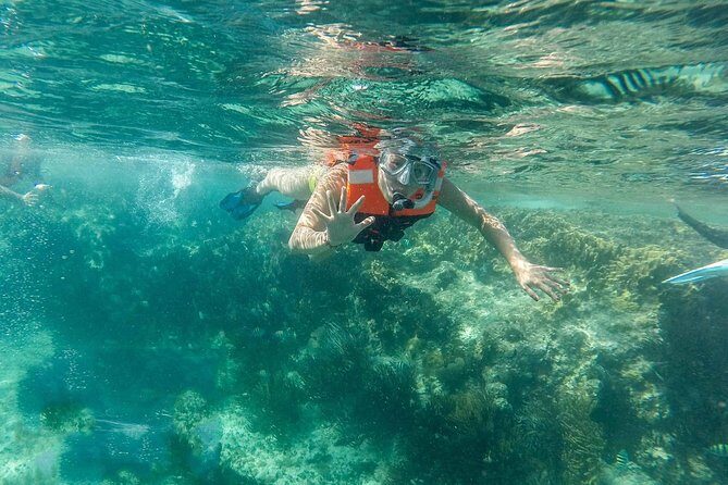 Snorkeling Adventure in Isla Mujeres - An In-Depth Look at the Snorkeling Adventure in Isla Mujeres