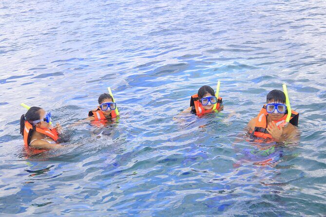 Snorkeling Adventure in Puerto Morelos Includes snack, Water and Round Trip. - Important FAQs