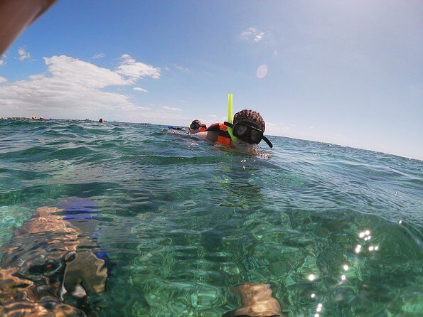 Snorkeling Adventure in Puerto Morelos Includes snack, Water and Round Trip. - Ready to Book?