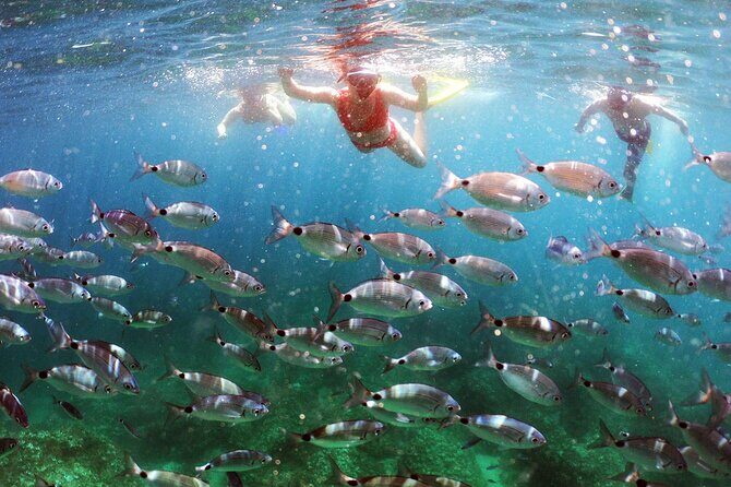 SNORKELING ADVENTURE | Pula Boat - The Experience: How It All Comes Together