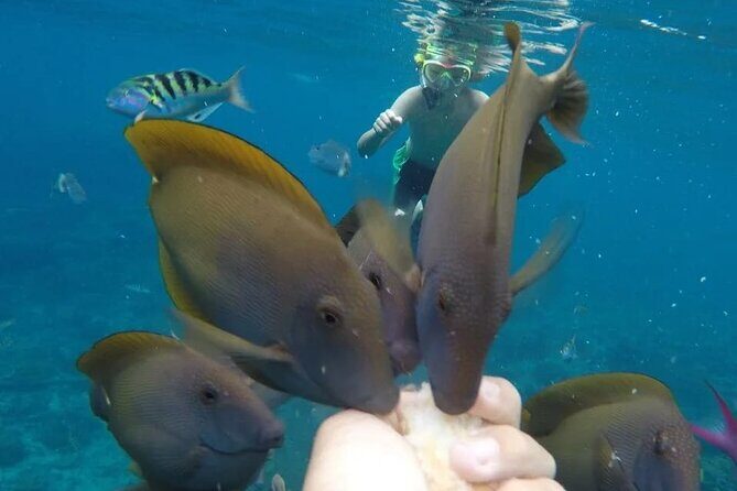 Snorkeling Adventure with East Nusa Penida Tour All Inclusive - Final Thoughts