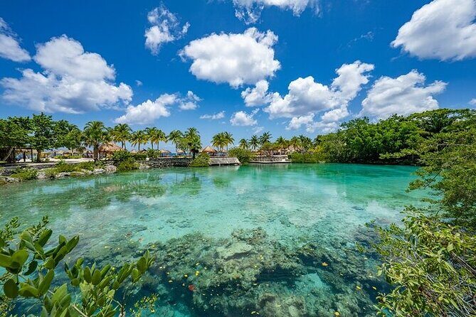 Snorkeling Adventure with Lunch and Tequila Tour - In-Depth Review: A closer look at what this tour offers