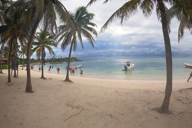 Snorkeling Adventure with Sea Turtles and Cenote Exploration - Key Points