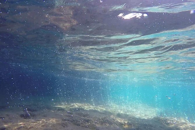 Snorkeling among the Underwater Caves of Ischia Ponte - Exploring the Route and Highlights in Detail