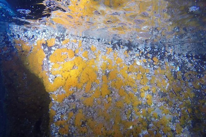 Snorkeling among the Underwater Caves of Ischia Ponte - The Sum Up