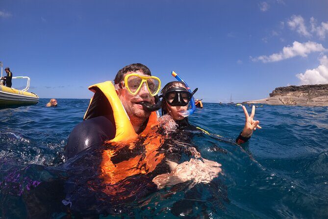 Snorkeling and Boat Tour in a Turtle Area - What You Can Expect from This Tour