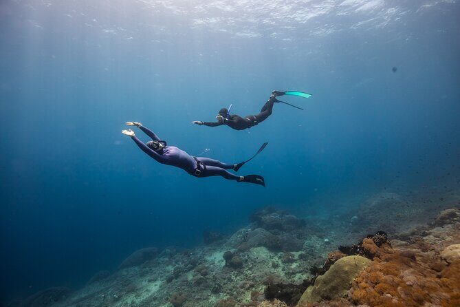 Snorkeling and Freediving Trip around Nusa Penida - The Sum Up