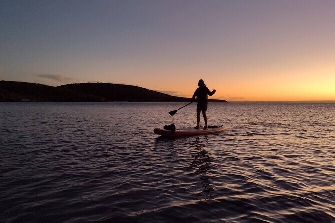 Snorkeling and Paddle Boarding Adventure in La Paz - Key Points