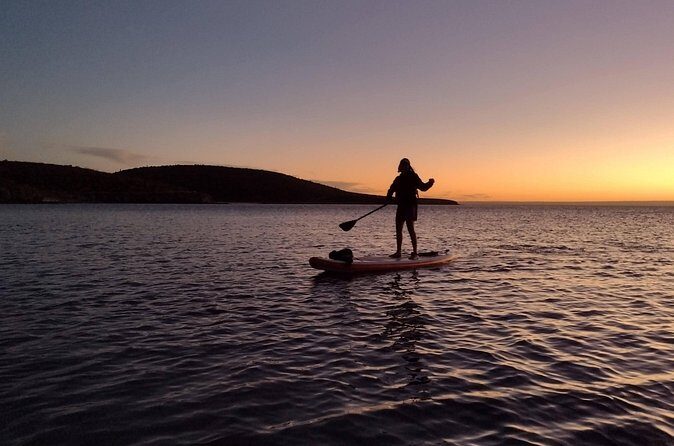 Snorkeling and Paddle Boarding Adventure in La Paz - What Reviewers Say: Authentic Voices