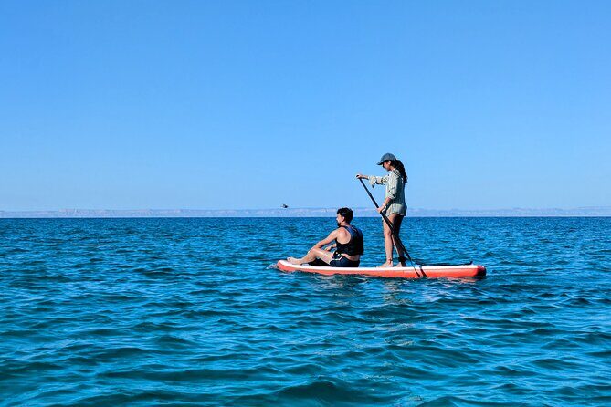 Snorkeling and Paddle Boarding Adventure in La Paz - Final Thoughts: Who Will Love This Tour?